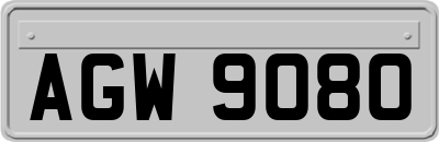 AGW9080