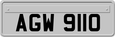AGW9110