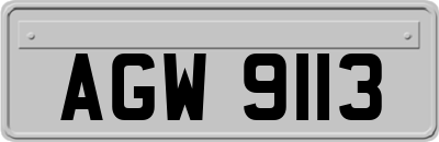 AGW9113