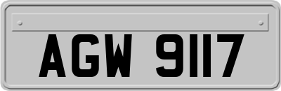 AGW9117