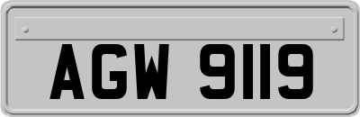 AGW9119