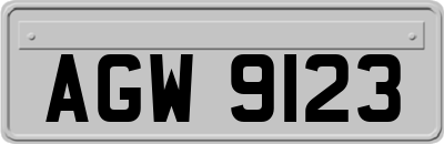 AGW9123