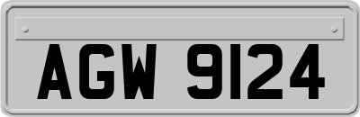 AGW9124