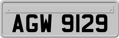 AGW9129