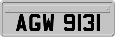 AGW9131