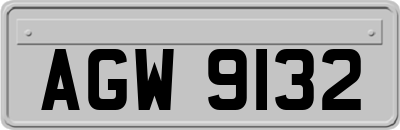 AGW9132
