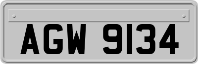 AGW9134