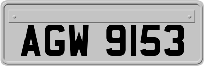 AGW9153
