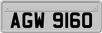 AGW9160