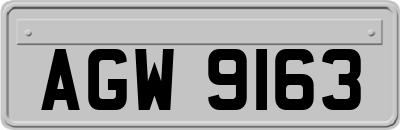 AGW9163
