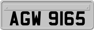 AGW9165