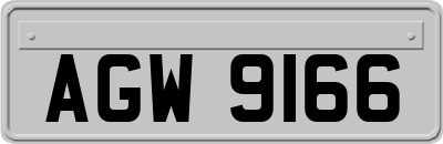 AGW9166