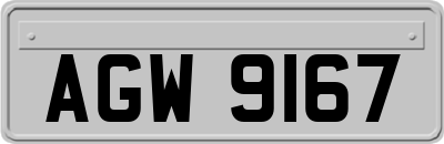 AGW9167