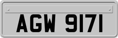 AGW9171