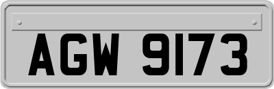 AGW9173