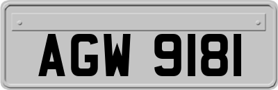 AGW9181