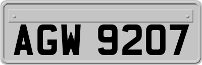 AGW9207