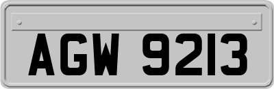 AGW9213