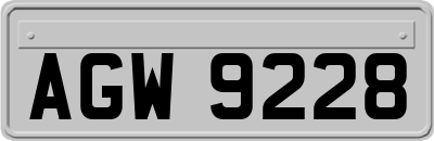 AGW9228