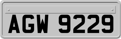 AGW9229