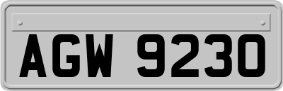 AGW9230