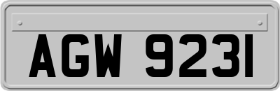 AGW9231