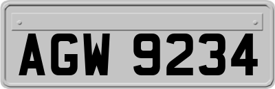 AGW9234