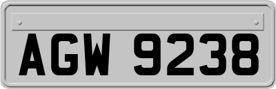 AGW9238