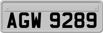 AGW9289