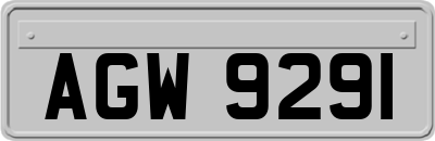 AGW9291