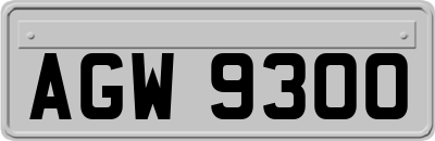 AGW9300