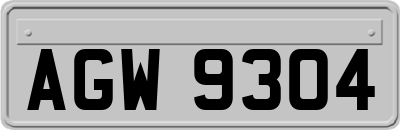 AGW9304