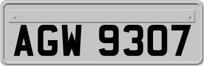 AGW9307