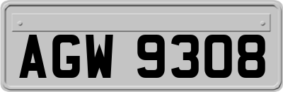 AGW9308