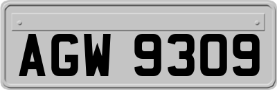 AGW9309