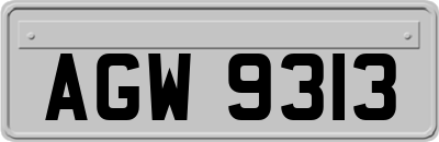 AGW9313