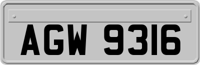 AGW9316