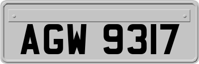 AGW9317