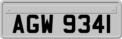 AGW9341