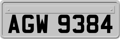 AGW9384