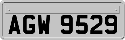 AGW9529