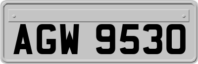 AGW9530