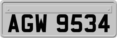 AGW9534