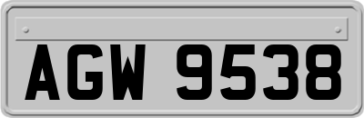 AGW9538