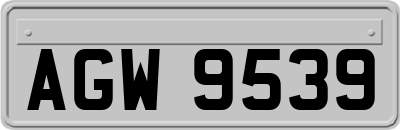 AGW9539