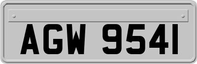 AGW9541