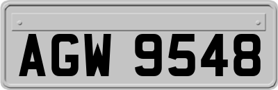 AGW9548