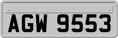 AGW9553