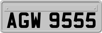 AGW9555