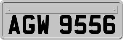 AGW9556